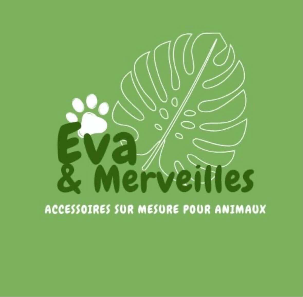 Logo Eva et Merveilles