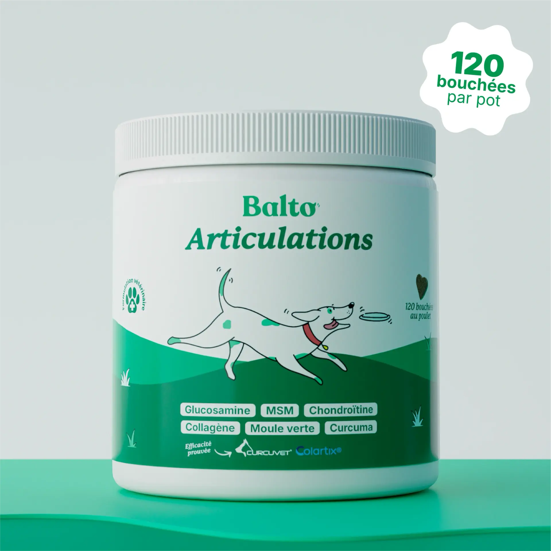 Balto Complément Articulations