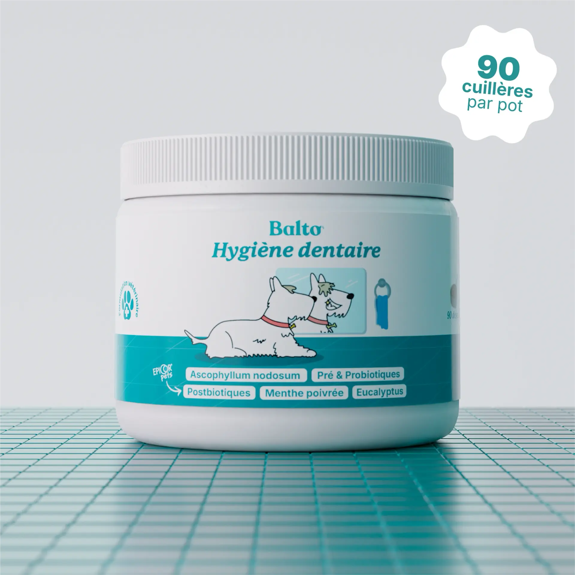 Balto Complément Hygiène dentaire