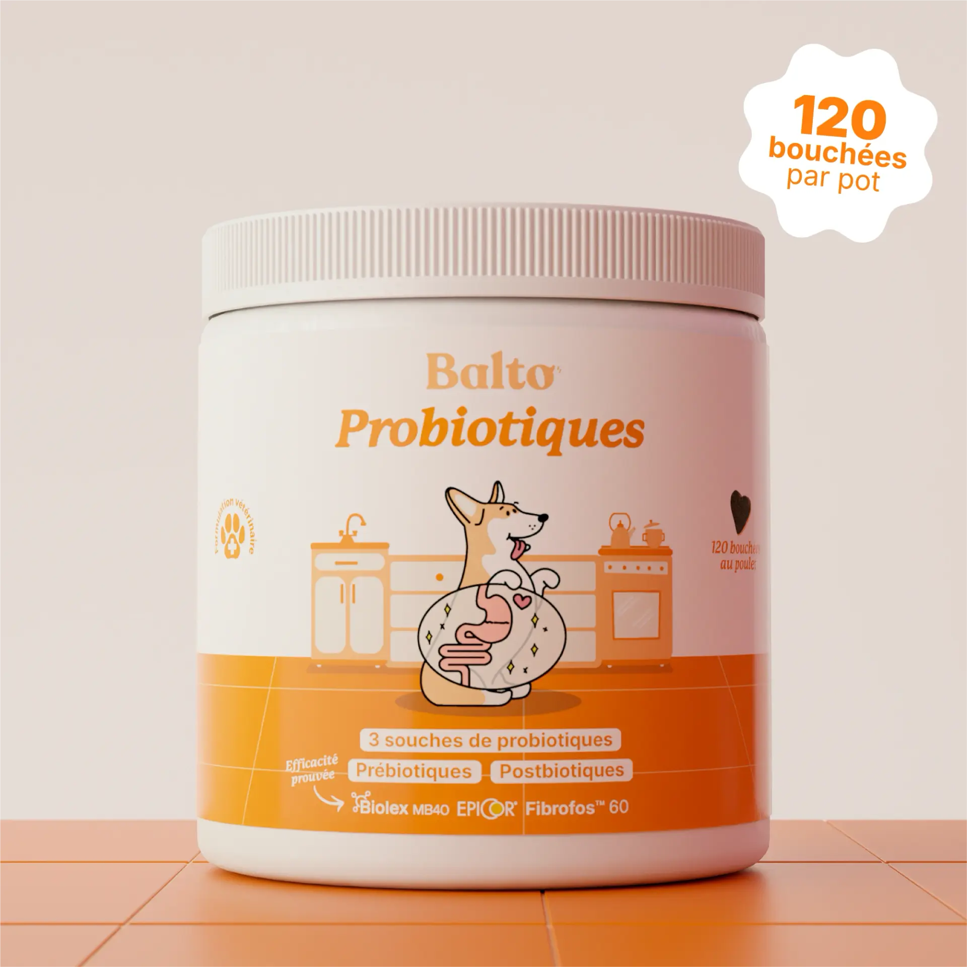 Balto Complément Probiotiques