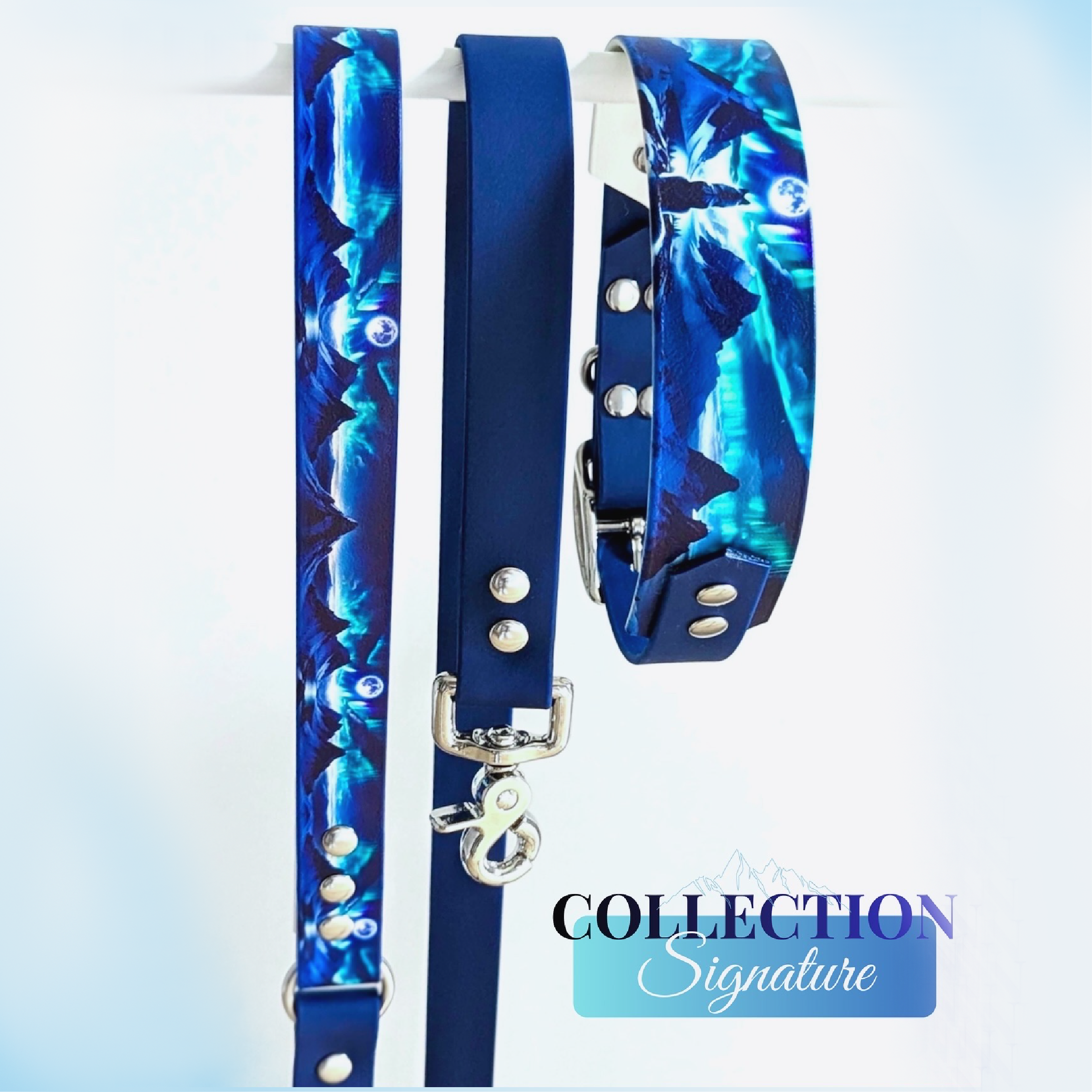 Colliers & laisses imprimés UV