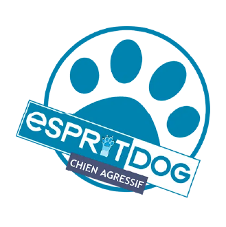 Formation comportement canin