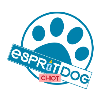 Formation chiot Esprit Dog