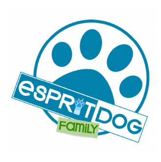 Formation chien adulte