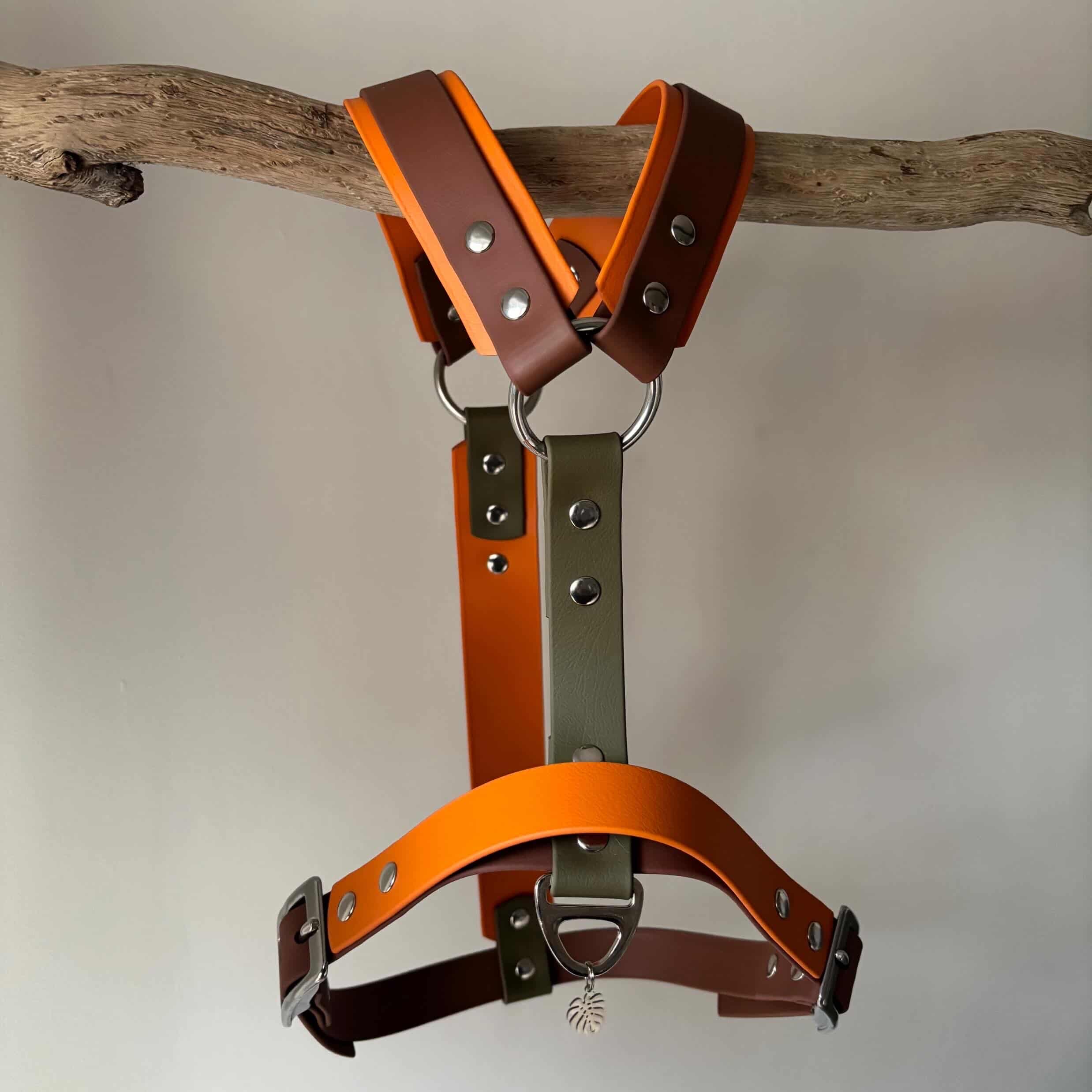 Harnais renforcé Eva et Merveilles